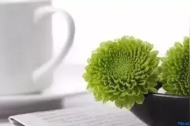 从网上复制到Excel里全是文本框，怎么取值？图片