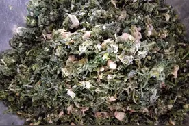 美食分享：荠菜豆腐干素馅饺子图片