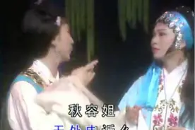 潮剧唱段《圣母殿前诉冤情》演唱：张怡凰图片