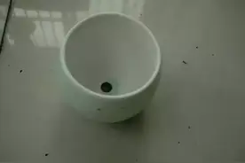秋天到了，让多肉宝宝住上拇指盆图片