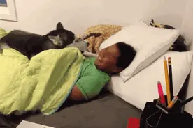 坚持不住了，快放我下来吧！图片