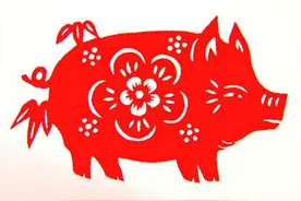 招人喜欢的都有哪些生肖图片