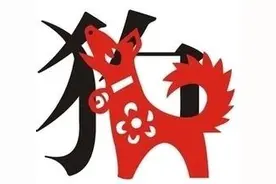 狗人适合的生意、职业和交际图片