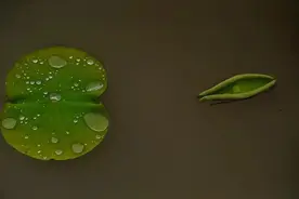 无论曾经多么意气风发，走着走着就麻木了图片