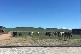 西三环奥吉通奥迪草原自驾之旅招募啦!图片