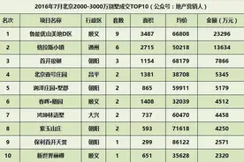 重新发现中央别墅区图片