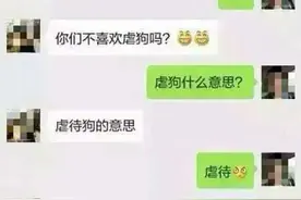深圳电死50只狗狗，竟然说只为好玩！发指的行为图片