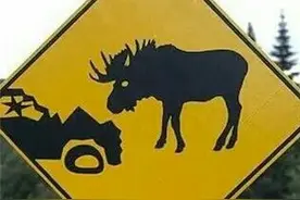 国外那些交通信号灯，认知的帮忙解释下图片