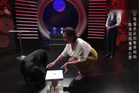 导盲犬几年未见主人，主人上台爱犬依然记得，场面太感人看哭了！视频封面