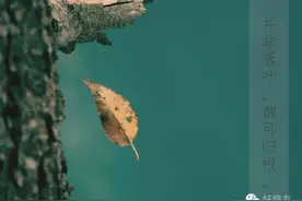 致郁佳片《喜丧》：生前你嫌我弃，死后却风光大葬？图片