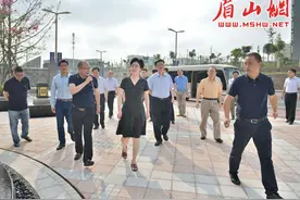 李静调研第一片区重点项目推进图片