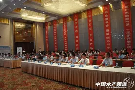 斑点叉尾鮰养殖发展趋势及健康养殖要点——蔡焰值图片