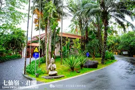 热带雨林隐藏什么秘密，让人如此向往图片