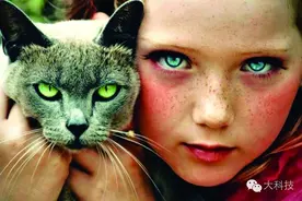 为什么能感觉到 别人注视的眼光？图片