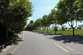 中山陵部分路段禁行图片