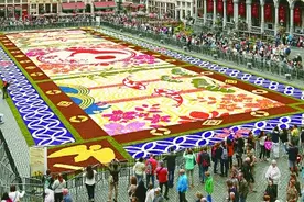 布鲁塞尔大广场的“鲜花地毯”图片