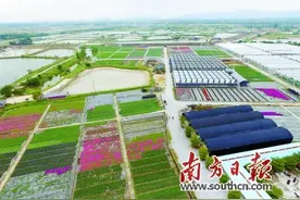 佛山三水“政银保”即将迎来农业“最好时代”图片