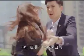 葛倩茹变泼妇羞辱程凌云！拉扯中摔倒流产视频封面