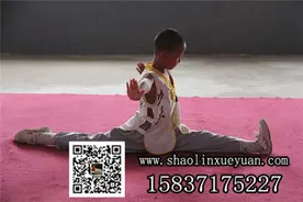 嵩山少林寺武校开设暑假班了吗？用上文化课吗?图片