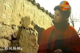 《沂蒙山小调》是山东省经典民歌，歌曲唱出了沂蒙山的性格和风情