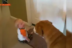 别看宝宝小 其实宝宝心里想了很多你不知道的事情呢