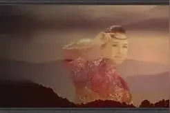 贾鹏芳二胡《无悔》无悔白发绕尽百尺天涯图片