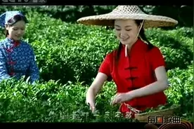 竹溪——中国有机绿茶之乡，风景很美哦！来看看吧！视频封面
