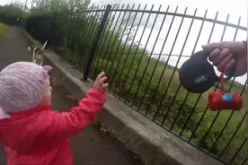 刚学会走路的宝宝出去遛狗 萌哭了视频封面