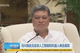 马兴瑞会见全球人工智能和机器人峰会嘉宾视频封面