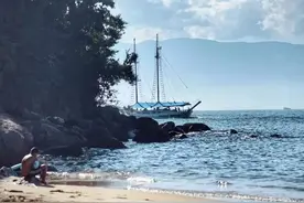 奇游 | 里约以外 才是天堂 ( 上）——潘塔纳尔湿地 动物世界现场版图片