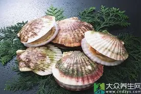 香蕉草莓和啤酒 竟是养发高手图片