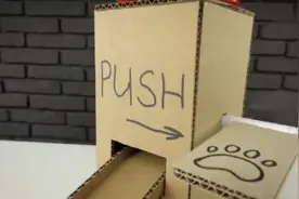 手工大神用纸板给狗狗制作自动狗粮机，动手能力超厉害！