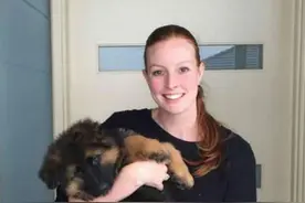 德国牧羊犬的成长过程，8个月时的照片已翻天覆地！图片