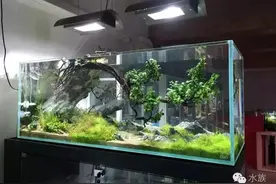 水族 | 素材不好，骨架不会，怎么造？图片