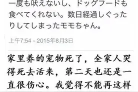 日本一妹子的狗狗去世了,然而她做出这样的打算图片