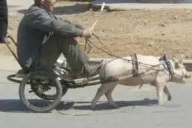 向左走还是向右走？为何在英国、日本开车要左行呢？