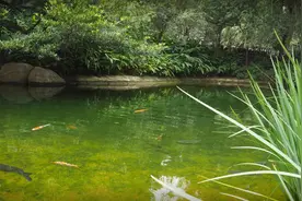 《子平正解》中的几种贫贱命组合的原理与推论图片