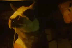 看到这些不寒而栗的日本都市传说，才觉得贞子都不算恐怖片！图片