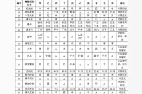 太全了，八字神煞的寓意图片