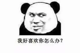 装逼熊猫表情图图片