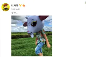 杜海涛说瘦成小羊，网友：明明是头大肥羊图片