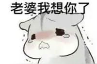 [必须收藏]哄老婆必备表情包!!!图片