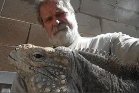 国外男子休养在家将蜥蜴训练成宠，温顺听话如汪星人图片