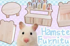 创意仓鼠DIY 一步步制作仓鼠的迷你厨房 超级精致图片