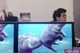 办公室里有个无聊的逗比后，简直毫无违和感图片