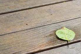 思念的味道图片