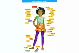 宝贝学英语认识人的各个部位图片