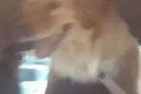 搞笑GIF图：当女孩来到男生宿舍的时候图片