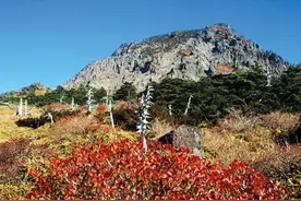 韩国济州岛旅游攻略图片