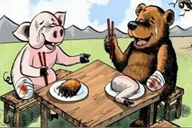 猪笨还是熊笨？图片